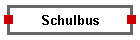 Schulbus